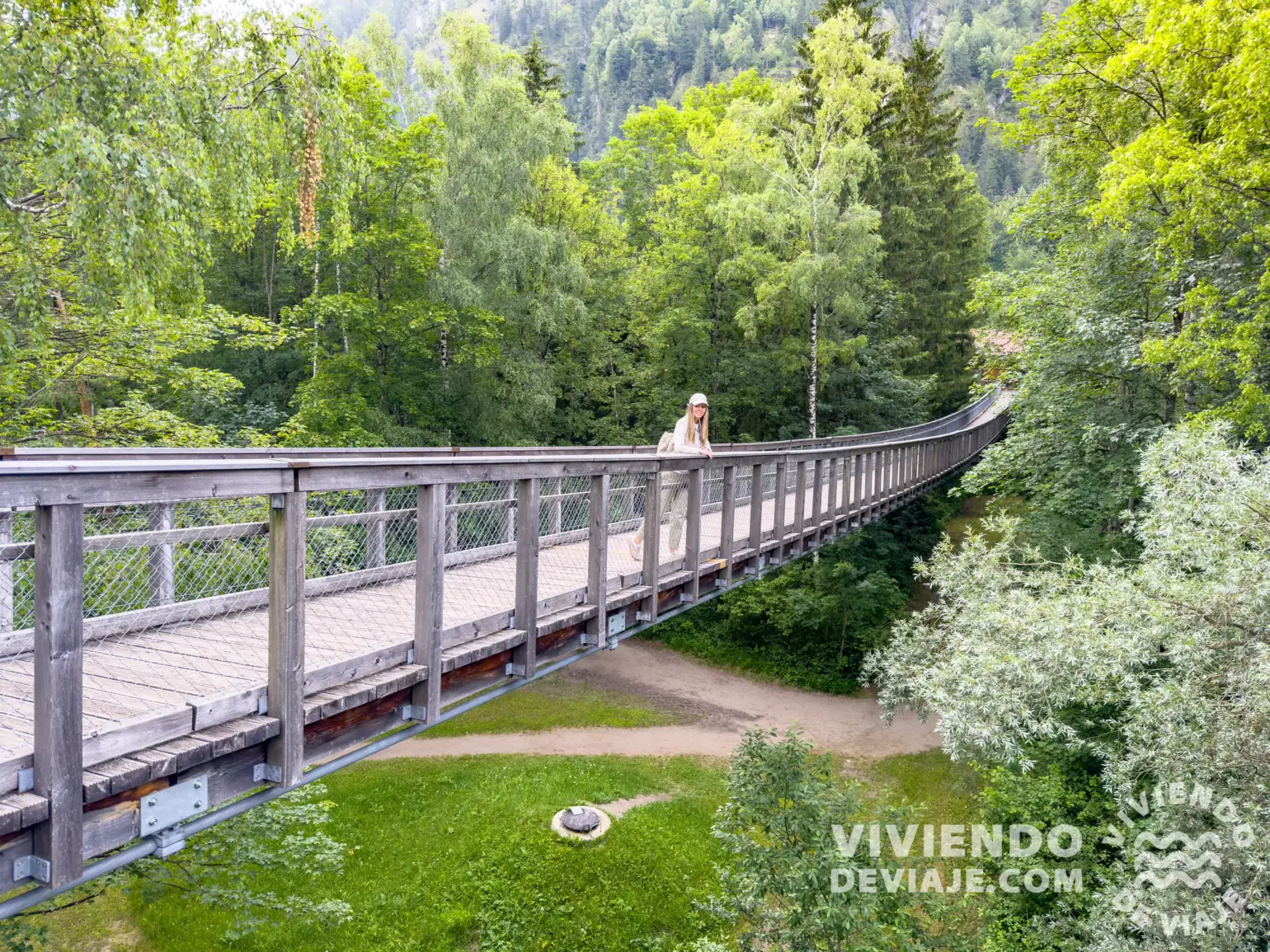 Der Baumkronenweg, puentes colgantes