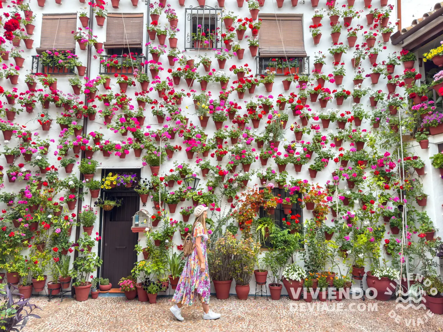 Patio Cordobés