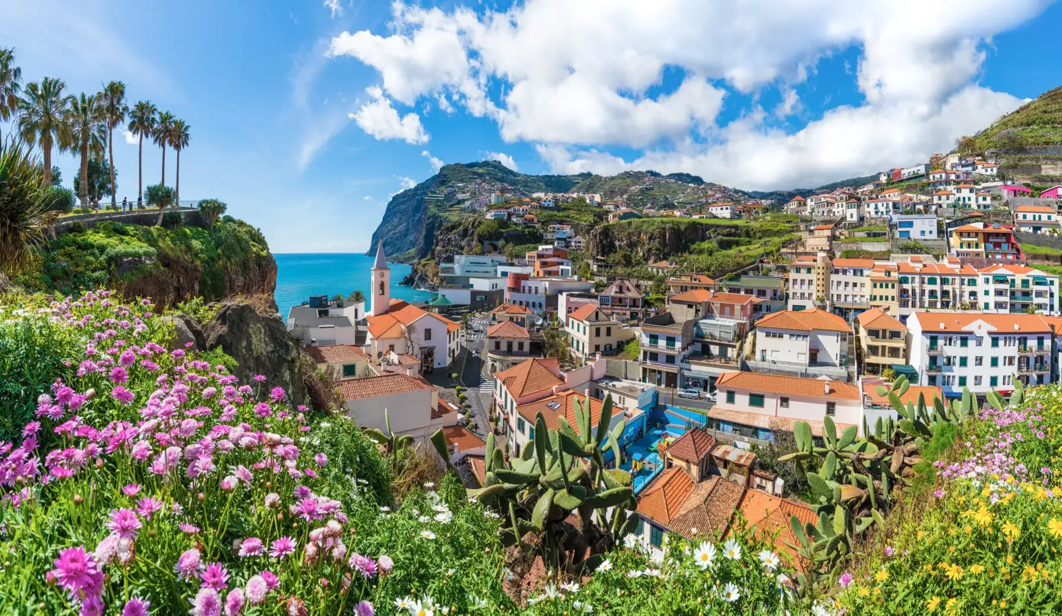 Dónde alojarte en Madeira, mejores zonas