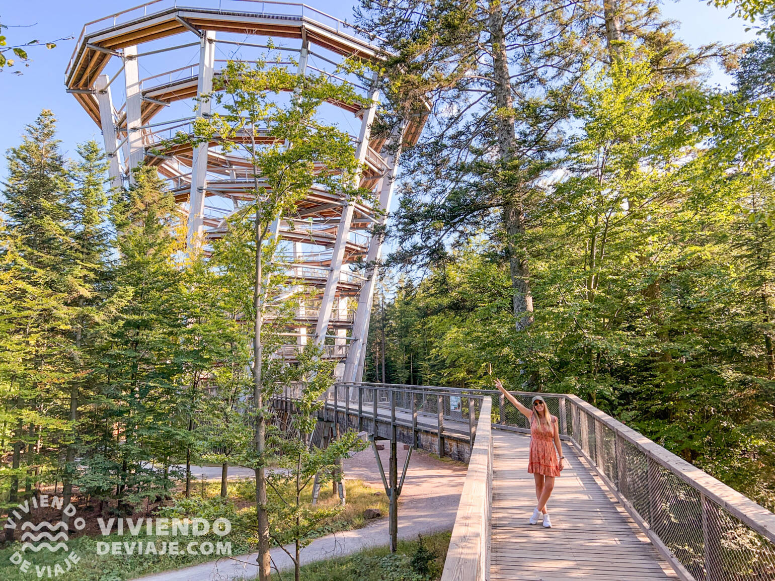 Baumwipfelpfad | Ruta por la Selva Negra