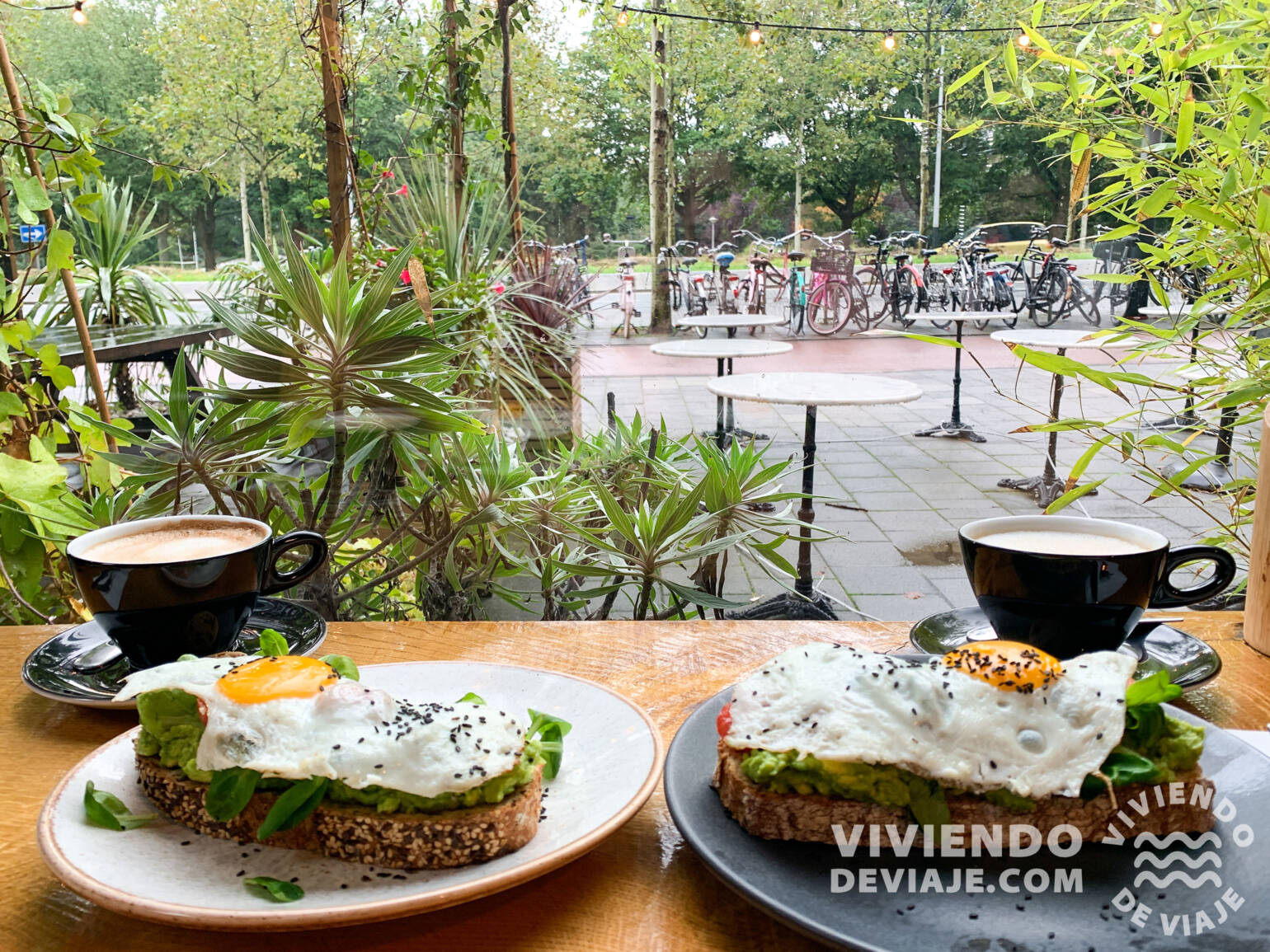 Cafetería Benji’s en Ámsterdam