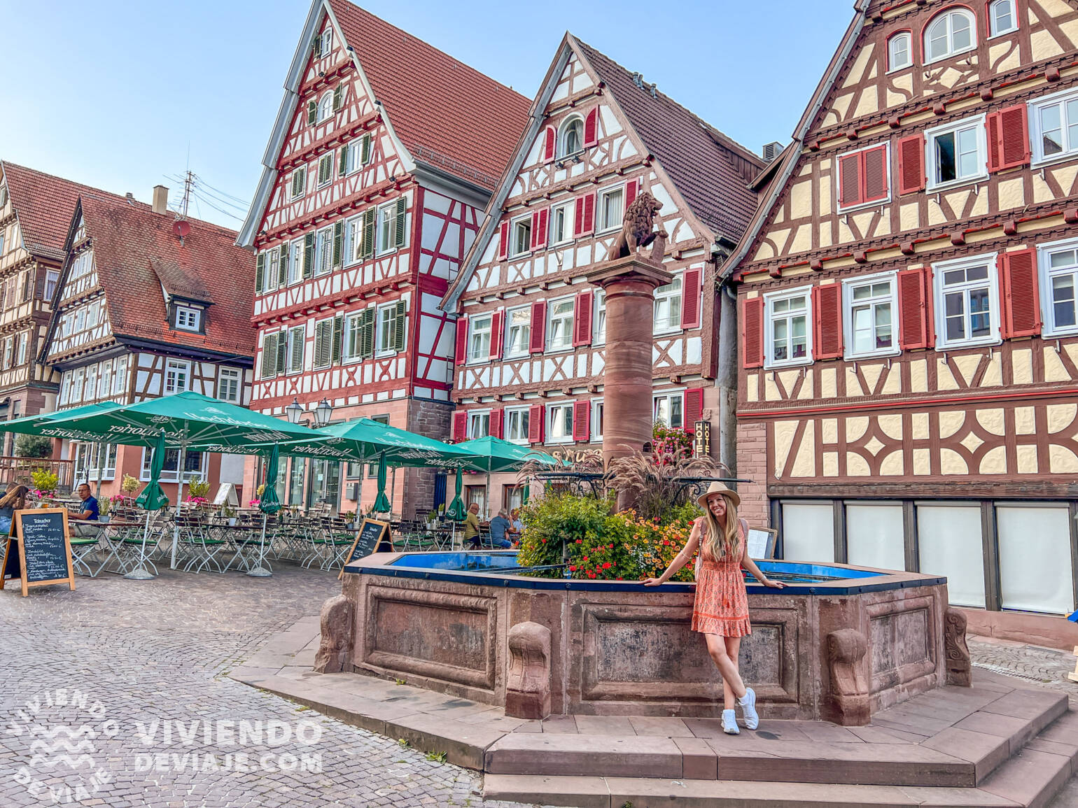 Calw | Ruta por la Selva Negra
