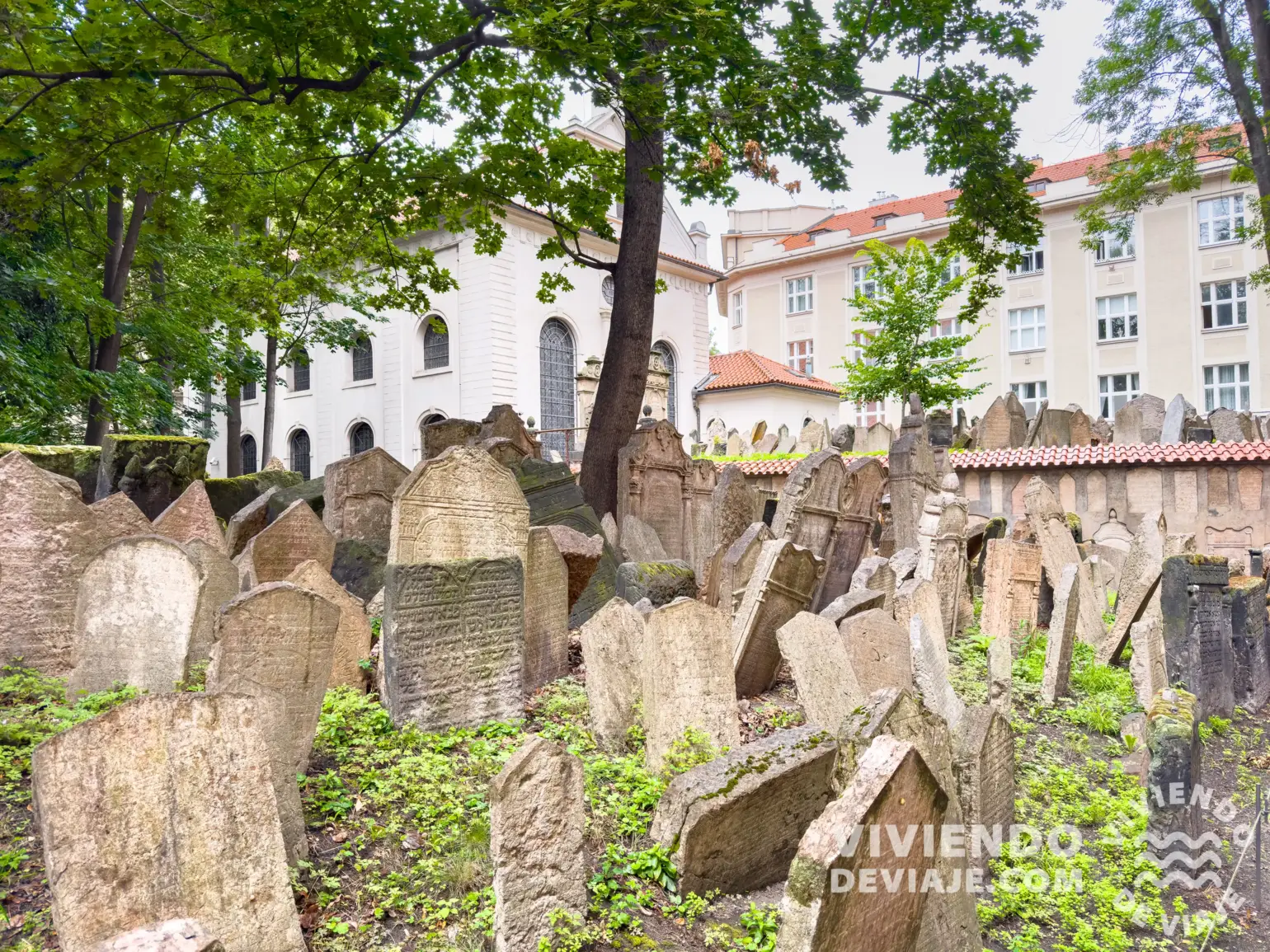 Antiguo Cementerio Judío de Praga