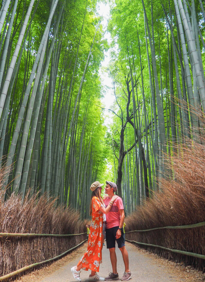 Consejos para viajar a Japón