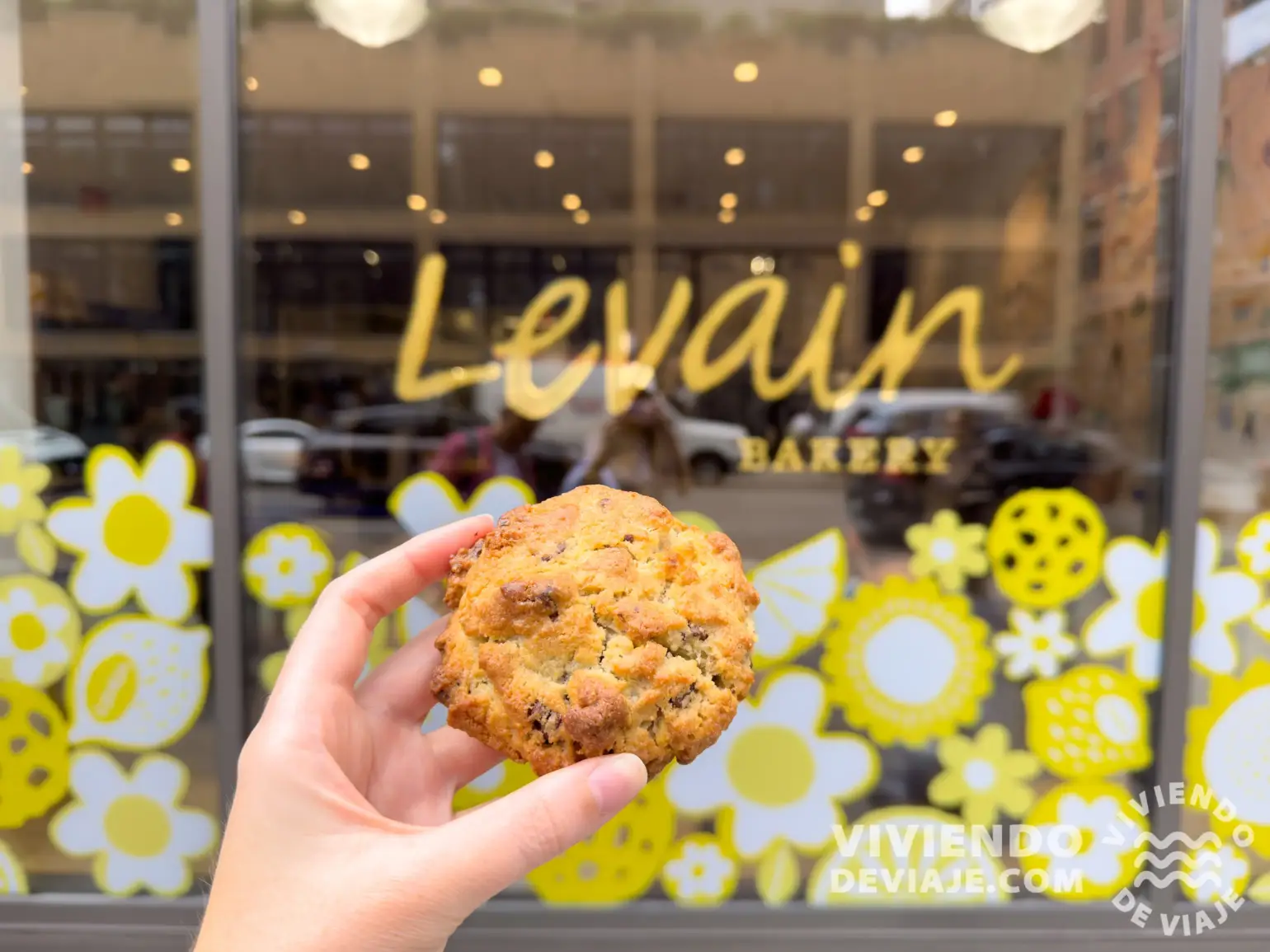 Galletas de Levain