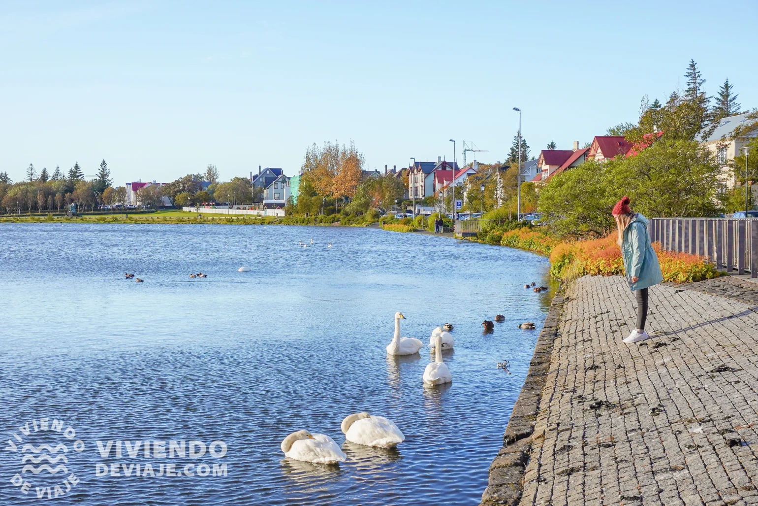 Lago Tjörn | Reikiavik en un día
