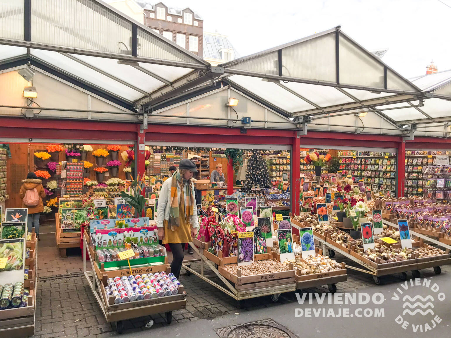 Mercado de las Flores | Qué ver en Ámsterdam en 2 días
