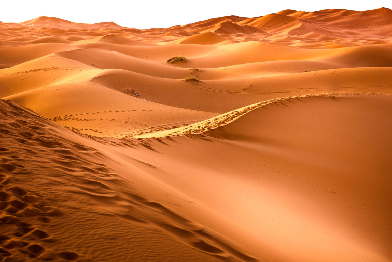 Excursión al desierto desde Marrakech