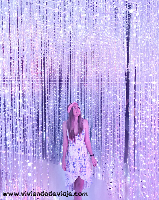 Que ver en Singapur, ArtScience Museum
