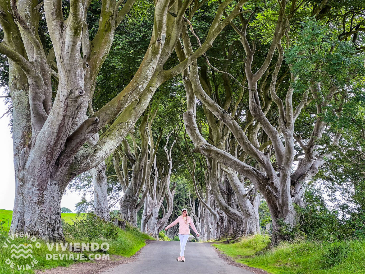 Carretera The Dark Hedges | Ruta por Irlanda