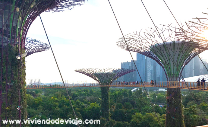 Cosas que ver y hacer en Singapur en 3 días, OCBC Skyway