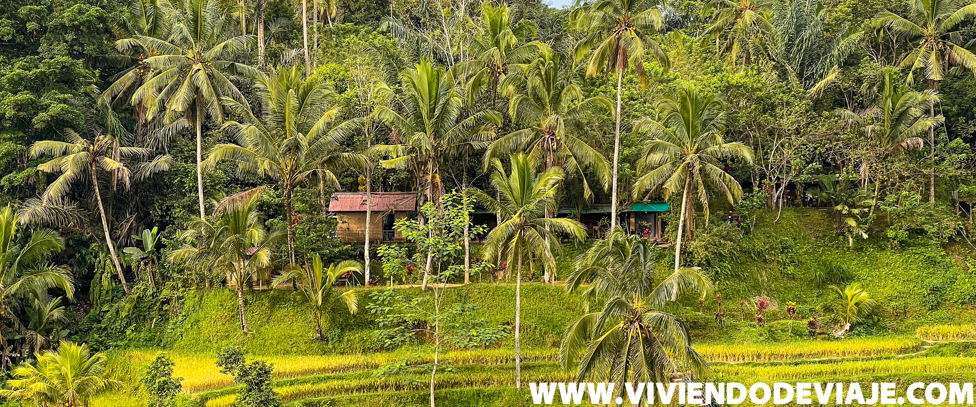Guía de viaje a Bali